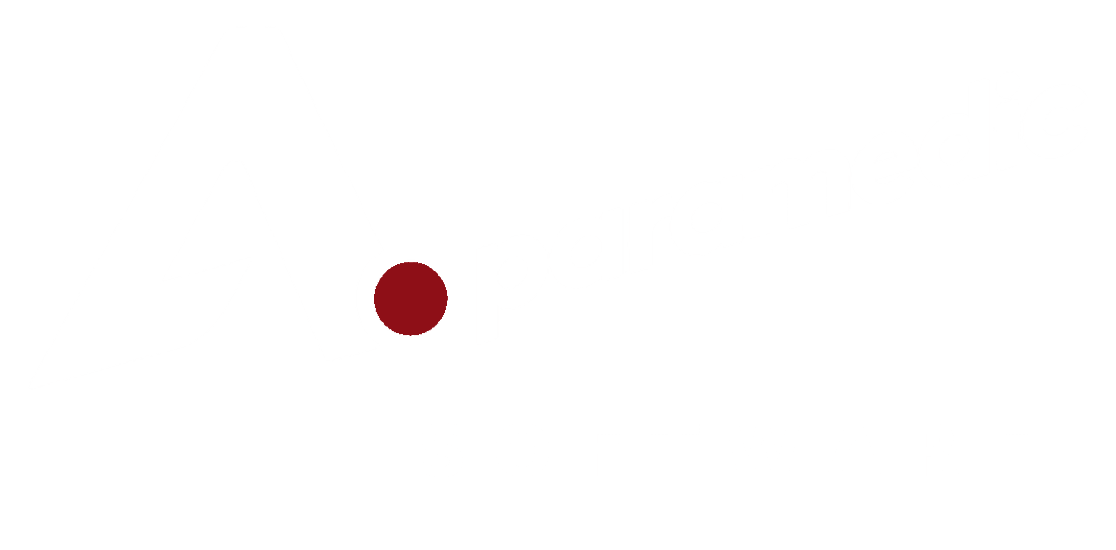 A. Paramedic Software